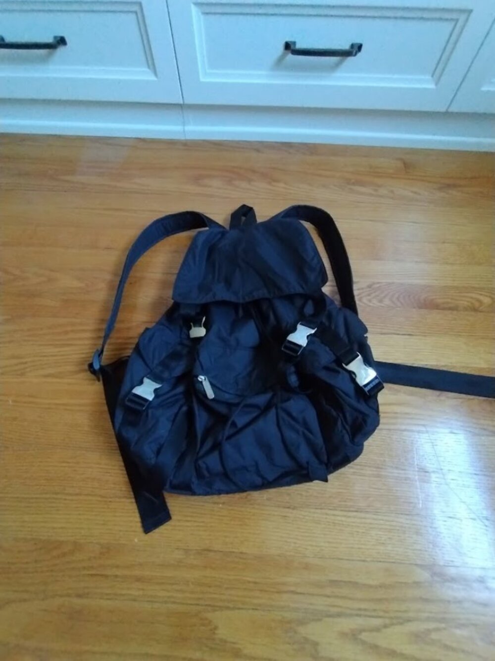 LeSportsac Backpack Branded Webbing Straps Drawstring Top Closure Metallic Buckl